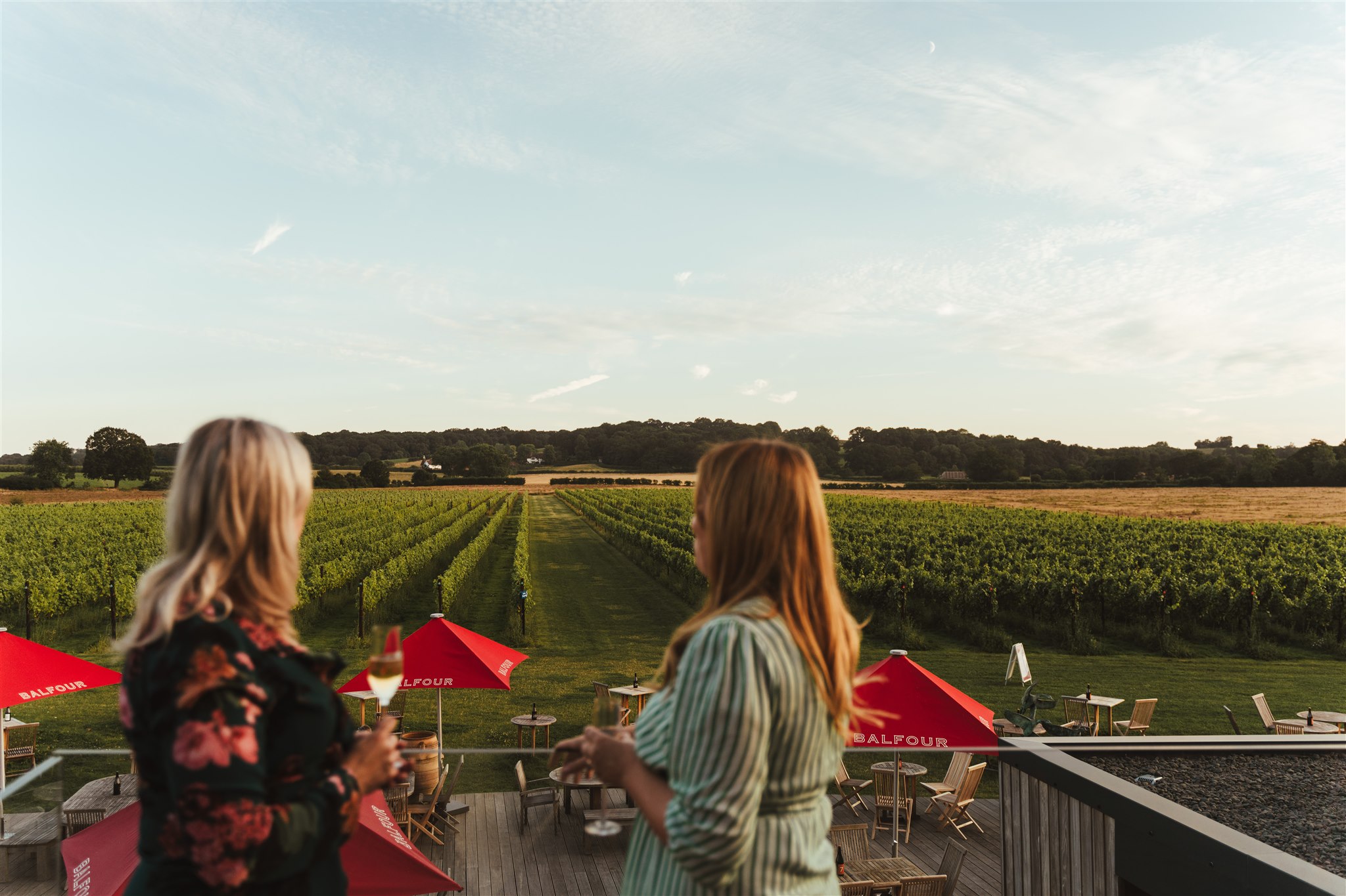 Hush Heath Estate and Winery Things to Do in Kent Ashford and